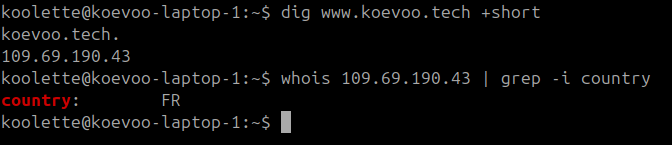 Le serveur hébergeant le site web de Koevoo est localisé en France